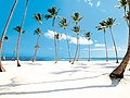 Filename=puntacana7.jpg
Filesize=81KB
Dimensions=940x618
Date added=Feb 13, 2012 puntacana7.jpg
