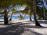 puntacana58.jpg