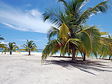 puntacana_-_saona_island.jpg