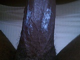 pussy_015.jpg