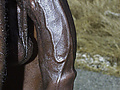 broadbend8.jpg