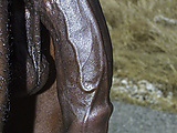 broadbend8.jpg