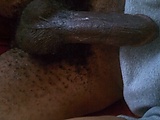IMAG0181.jpg