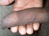 IMG00577-20120406-1404.jpg