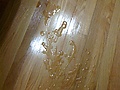 photo35.JPG