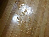 photo35.JPG