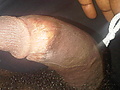 IMG00071-20100520-0527.jpg