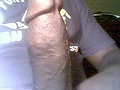 Filename=1234709_80992.jpg
Filesize=15KB
Dimensions=352x288
Date added=Jan 27, 2009 1234709_80992.jpg