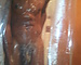 longdick_learn2day's avatar