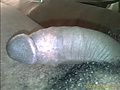 Filename=lee.jpg
Filesize=43KB
Dimensions=640x480
Date added=Nov 22, 2008 lee.jpg