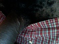 Filename=Photo_303a.jpg
Filesize=48KB
Dimensions=640x480
Date added=Oct 05, 2008 Photo_303a.jpg