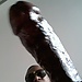 cockstarrs avatar