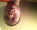 Blacklover12's avatar