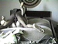 Filename=VTS_12_1_VOB_000092653.jpg
Filesize=120KB
Dimensions=1584x1080
Date added=Sep 29, 2008 VTS_12_1_VOB_000092653.jpg