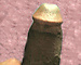 cjn0007s avatar