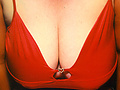 Filename=_150.jpg
Filesize=133KB
Dimensions=1292x1167
Date added=Oct 19, 2008 _150.jpg