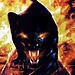 Lord-Black-Puma's avatar