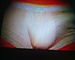 bori135's avatar