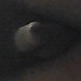 ctgrml's avatar