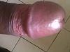 Looking for Playmates-img00210-20110814-1239.jpg