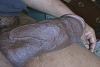 Is a 10 inch wrist thick dick too big? Chicago-zzzzzzzzzzzzzzzzzzzzzzzzzzzzzzzzzzzzzzzzzzzzzzzzzzzzzzz6.jpg