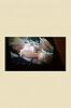 Mature hung b/m 4 Mature F/Couples-kim-feeling-.jpg