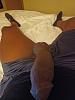 Bbc- Grand Rapids and Traverse city this week-20210622_012813.jpg