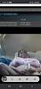 Bull cock seeking female in DE/PA/MD/South Jersey-screenshot_20220814-104241_chrome.jpg