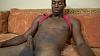 19 yrs old african young bull for you-img_20220203_061543_272.jpg