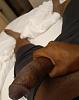 19 yrs old african young bull for you-img_20220709_110255_531.jpg