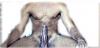 Black Stud in Kingston, Jamaica for FUN-image3.jpg
