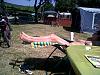 Any UK Bulls on here ?-2010-013.jpg