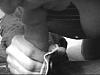 uncut or cut-seds-4-.jpg