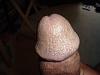 BBC In North Atlanta,GA(8 inches &amp; thick)-head.jpg