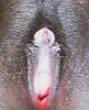 White cocks in black pussy-wife-31.jpg