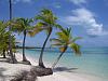 Click image for larger version
Name: puntacana25.jpg
Views: 60
Size: 93.3 KB
ID: 18882