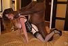 Favorite interracial pornstar-1078031439.jpg