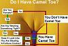 Cameltoe?-80041_v1.jpg