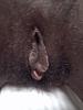 Unprotected = bred-130111_0000.jpg