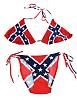 OT~~ College football-confederate-bikini.jpg