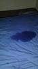 Squirting-20140926_010643_1749.jpg