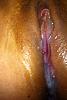 wet or cum?-img_2491.jpg