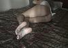 Click image for larger version

Name:	4A505FBC-6BA7-4E35-B27A-2B817759A13F.jpg
Views:	96
Size:	15.8 KB
ID:	36965