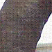 mosho1000's Avatar