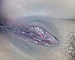 bklynangel's Avatar