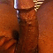 CMaxx15's Avatar