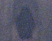 Voyeuristic's Avatar