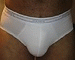 muscatbull's Avatar