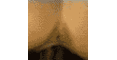 user_113491_avatar.gif