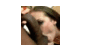 user_139006_avatar.gif